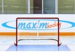 Имитатор - хоккейные ворота Т-770 - магазин СпортДоставка. Спортивные товары интернет магазин в Рязани 