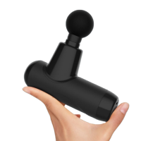 ������������� �������� Meridien Sakura MG-0001 proven quality - ������� �������������. ���������� ������ �������� ������� � ������ 